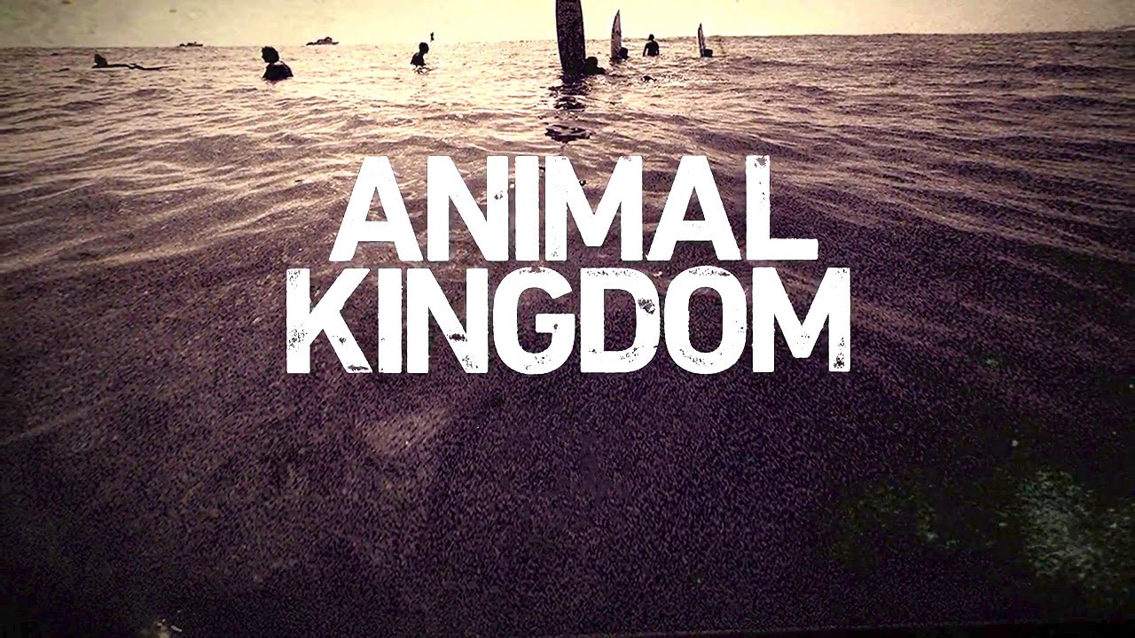 When Does Animal Kingdom Season 2 Start? Premiere Date (Renewed