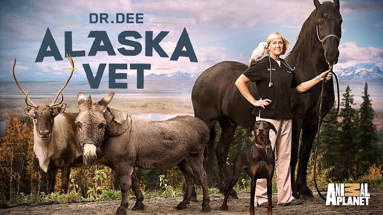 When Does Dr. Dee: Alaska Vet Season 3 Start? Premiere Date