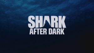 When Does Shark After Dark Season 5 Start? Premiere Date