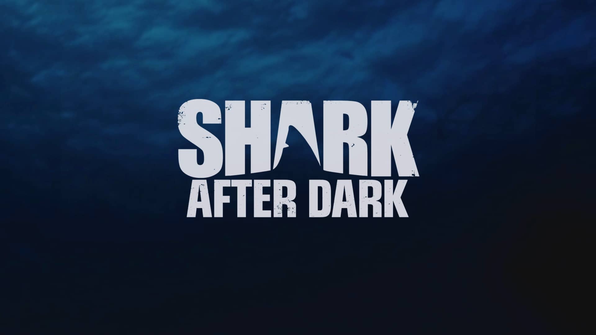 When Does Shark After Dark Season 5 Start? Premiere Date