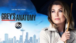 When Does Grey's Anatomy Season 14 Start? Premiere Date