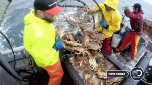 When Does Deadliest Catch: Dungeon Cove Season 2 Start? Premiere Date