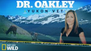 When Does Dr. Oakley, Yukon Vet Season 4 Start? Premiere Date