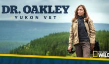 When Does Dr. Oakley, Yukon Vet Season 5 Start? Premiere Date (Renewed)
