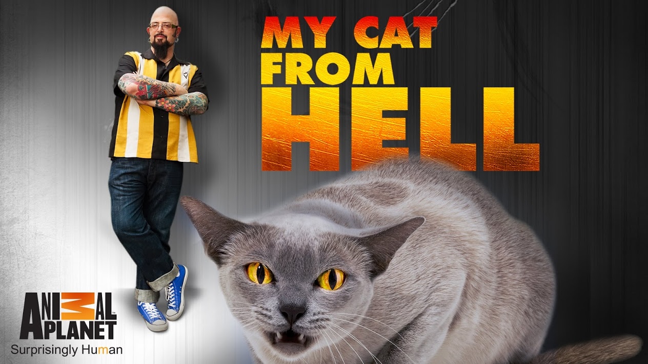 When Does My Cat From Hell Season 9 Start? Premiere Date