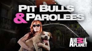 When Does Pit Bulls & Parolees Season 9 Start? Premiere Date