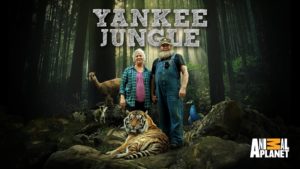 When Does Yankee Jungle Season 3 Begin? Premiere Date