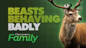 When Does Beasts Behaving Badly Season 2 Begin? Premiere Date