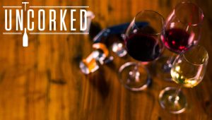 When Does Uncorked Season 2 Start? Premiere Date