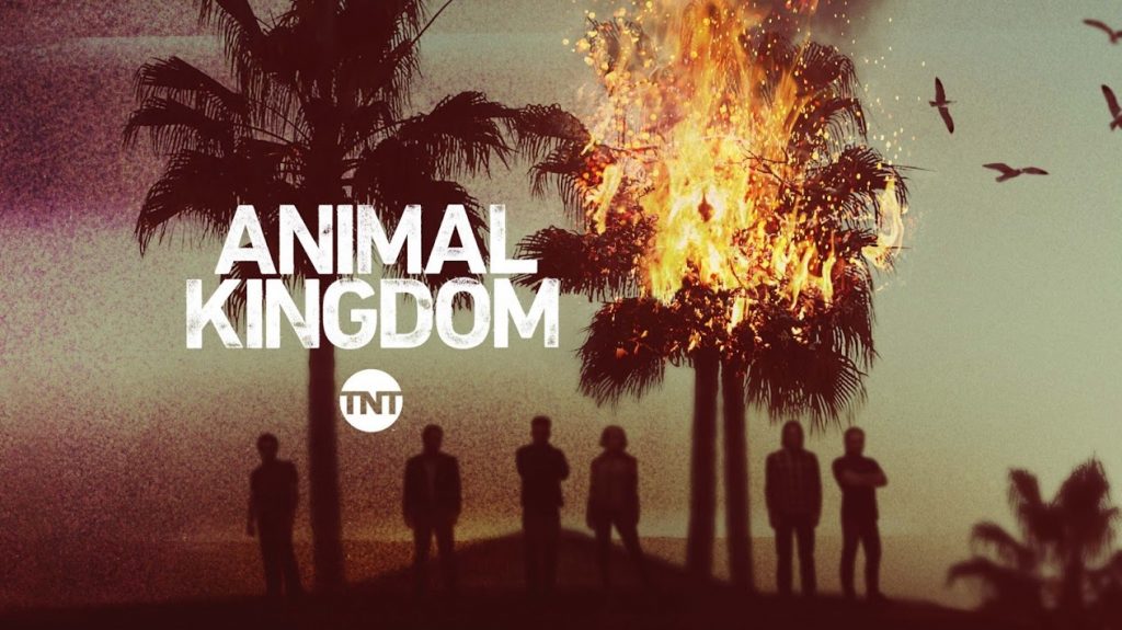 When Does Animal Kingdom Season 3 Start? Release Date ...