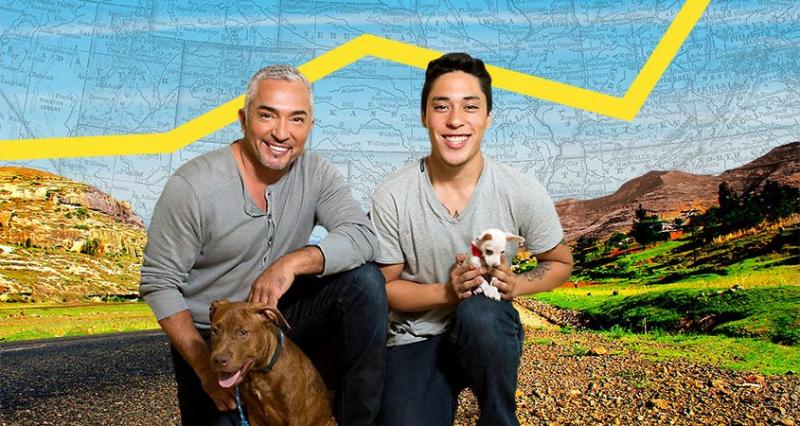 When Does Cesar Millan's Dog Nation Season 2 Start? Premiere Date