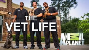 When Does The Vet Life Season 3 Begin? Release Date (Cancelled or Renewed)