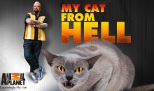 When Does My Cat From Hell Season 10 Start? Premiere Date (Cancelled or Renewed)