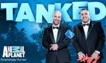 When Does Tanked Season 12 Start? Premiere Date (Canceled or Renewed)