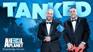 When Does Tanked Season 12 Start? Premiere Date (Canceled or Renewed)