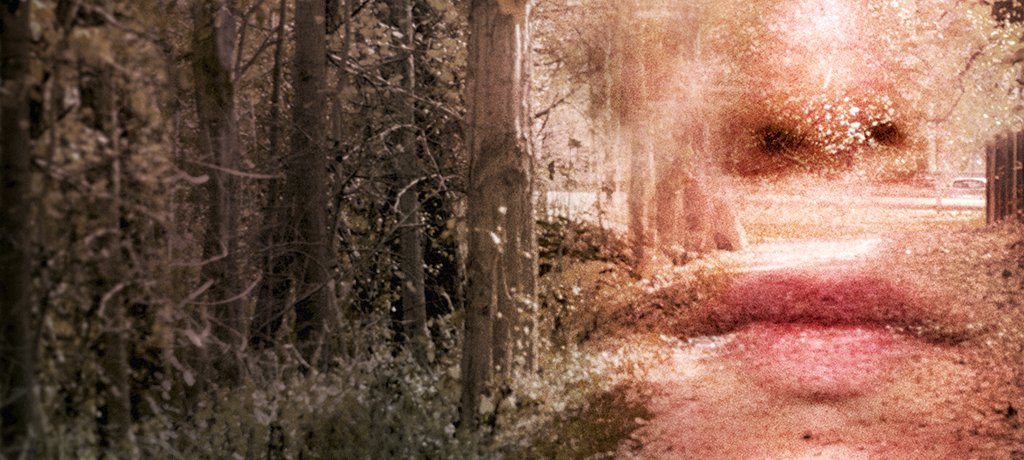 When Does Gone: The Forgotten Women of Ohio Season 2 Start? Release Date