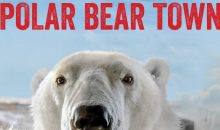 When Does Polar Bear Town Season 3 Start? Release Date (Cancelled or Renewed)