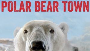 When Does Polar Bear Town Season 3 Start? Release Date (Cancelled or Renewed)