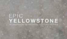 When is Epic Yellowstone Release Date on Smithsonian Channel? (Premiere Date)