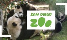 When is The Zoo: San Diego Release Date on Animal Planet? (Premiere Date)